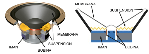 Altavoz: funcionamiento